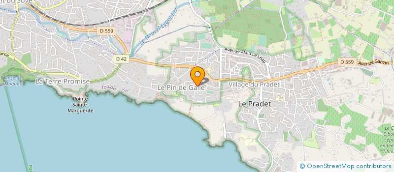 localisation de l'entreprise MONSIEUR PAUL CHAPMAN  LE PRADET