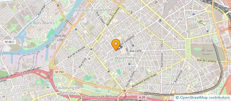 localisation de l'entreprise MONSIEUR PAUL MARTIN  LILLE