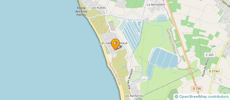 localisation de l'entreprise MONSIEUR PAUL MICHEL BERNARD DELAMARE  SAINT DENIS D'OLERON