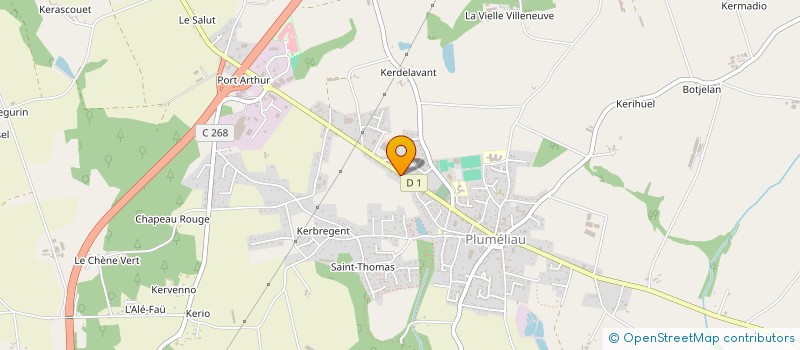 localisation de l'entreprise MONSIEUR PAUL NORMAN  PLUMELIAU-BIEUZY