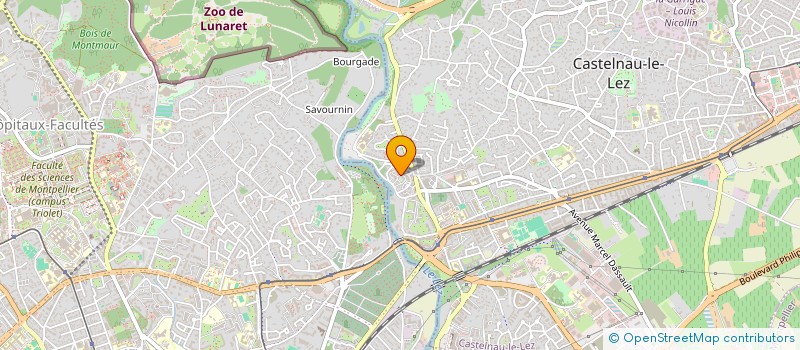 localisation de l'entreprise MONSIEUR PAUL RODIER  CASTELNAU-LE-LEZ