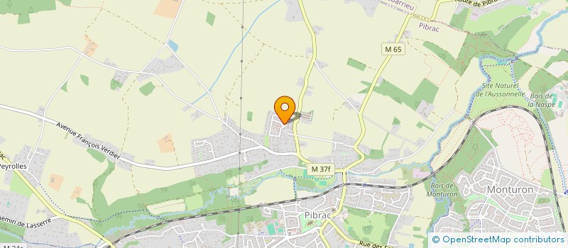 localisation de l'entreprise MONSIEUR PAUL VISEUX  PIBRAC