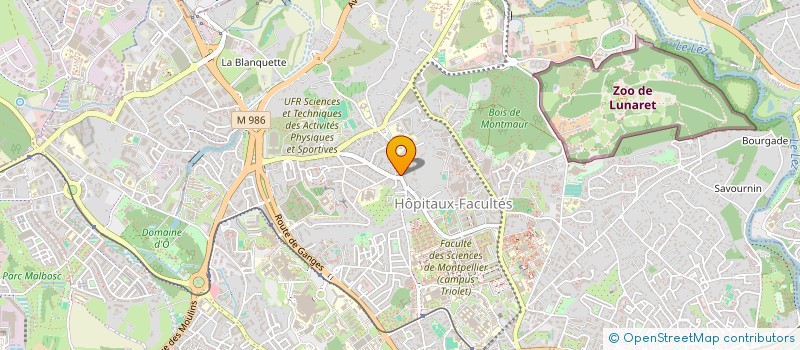 localisation de l'entreprise MONSIEUR PAUL WILLEMSE à MONTPELLIER