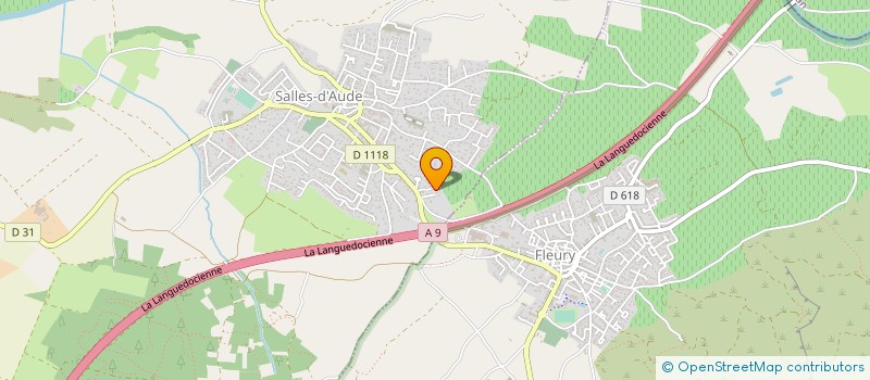 localisation de l'entreprise MONSIEUR PAULO DA SILVA AMARO  SALLES-D'AUDE