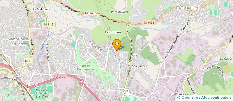 localisation de l'entreprise MONSIEUR PAULO DOS SANTOS LEMOS  SAINT-ETIENNE