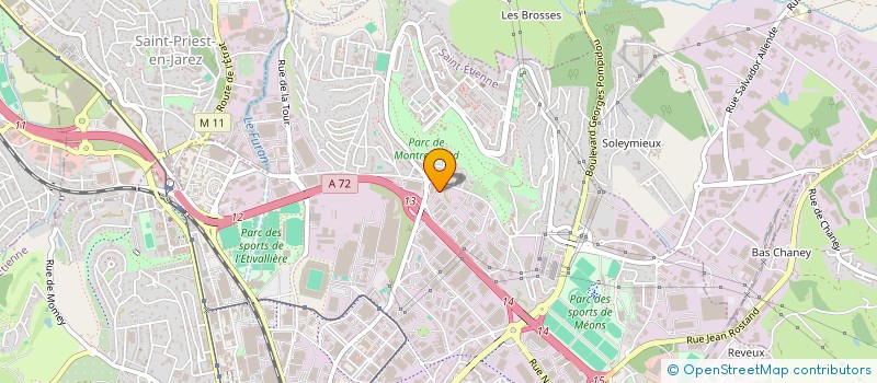 localisation de l'entreprise MONSIEUR PAULO MIGUEL  SAINT-ETIENNE