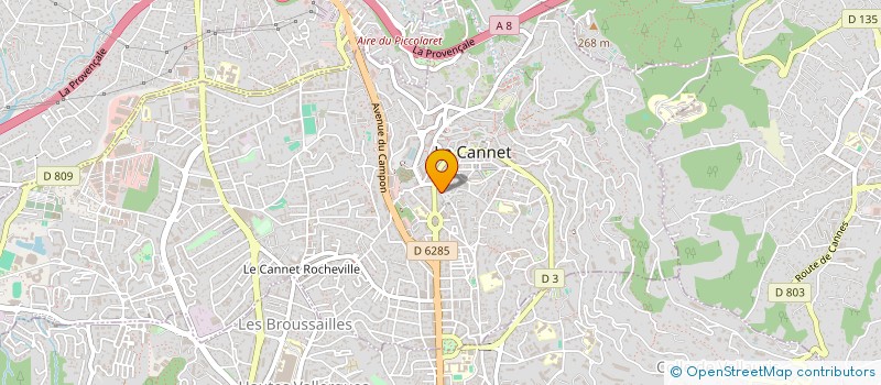 localisation de l'entreprise MONSIEUR PAVLO YERYOMIN à LE CANNET