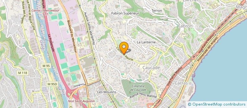 localisation de l'entreprise MONSIEUR PEDRAM ZARIF PEYVANDI à NICE