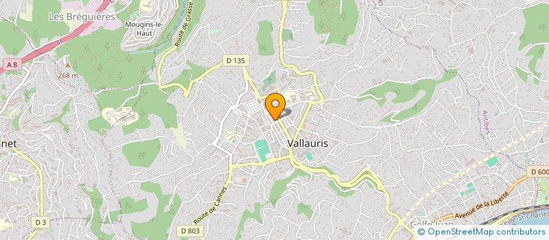 localisation de l'entreprise MONSIEUR PEDRO COELHO COUTO à VALLAURIS