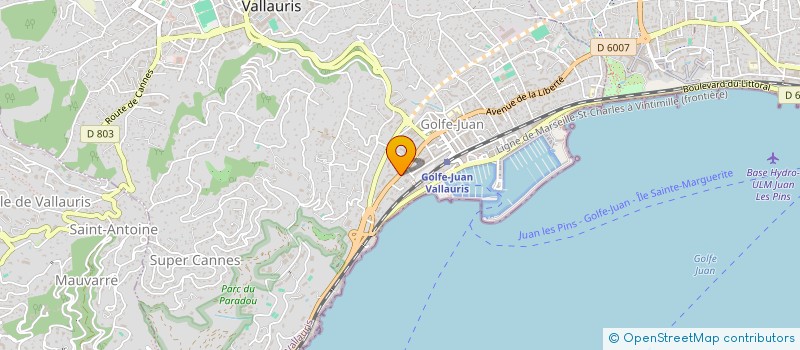 localisation de l'entreprise MONSIEUR PEDRO DE JESUS RODRIGUES  VALLAURIS