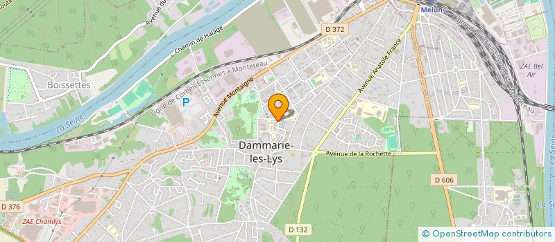 localisation de l'entreprise MONSIEUR PEDRO DE SOUSA CAVALEIRO à DAMMARIE-LES-LYS