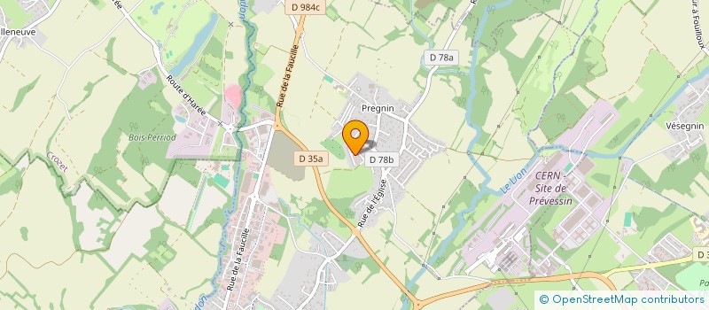 localisation de l'entreprise MONSIEUR PEDRO DOS SANTOS CARDOSO  SAINT-GENIS-POUILLY