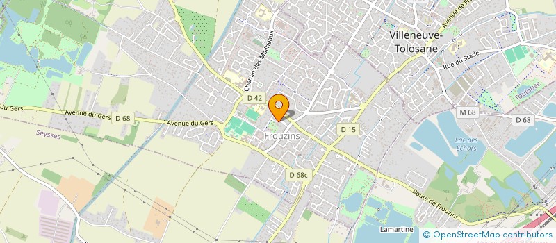 localisation de l'entreprise MONSIEUR PEDRO M'BENGUI  FROUZINS