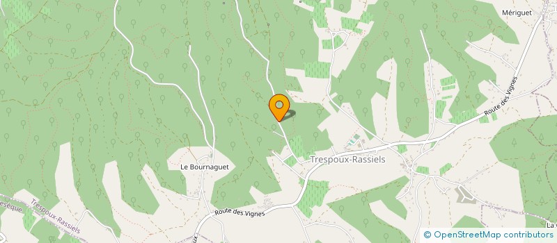 localisation de l'entreprise MONSIEUR PEDRO MARTIN  TRESPOUX-RASSIELS