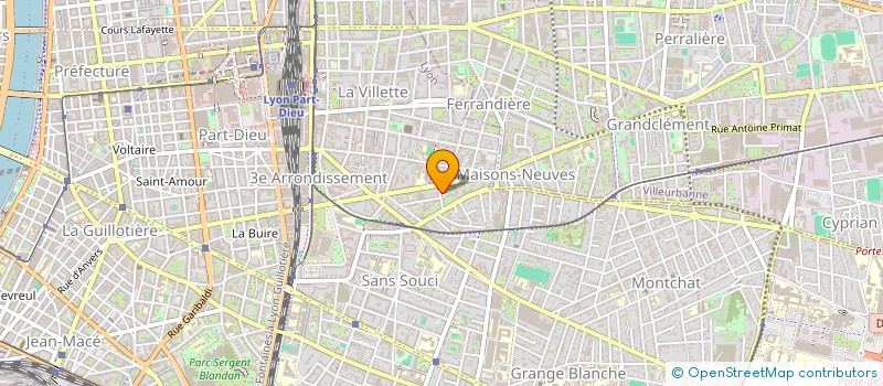 localisation de l'entreprise MONSIEUR PEDRO MATUA  LYON