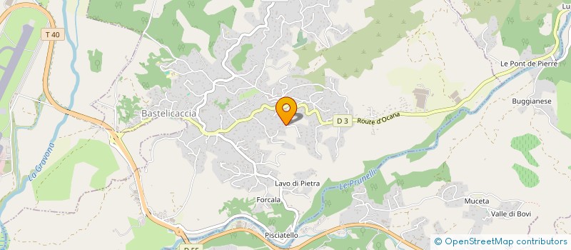 localisation de l'entreprise MONSIEUR PEDRO OLIVEIRA LEITE à BASTELICACCIA