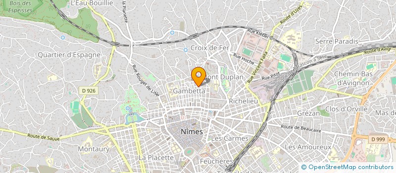 localisation de l'entreprise MONSIEUR PEDRO VALE NETO  NIMES