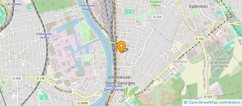 localisation de l'entreprise MONSIEUR PEDRO VITORINO DA SILVA  VILLENEUVE-SAINT-GEORGES