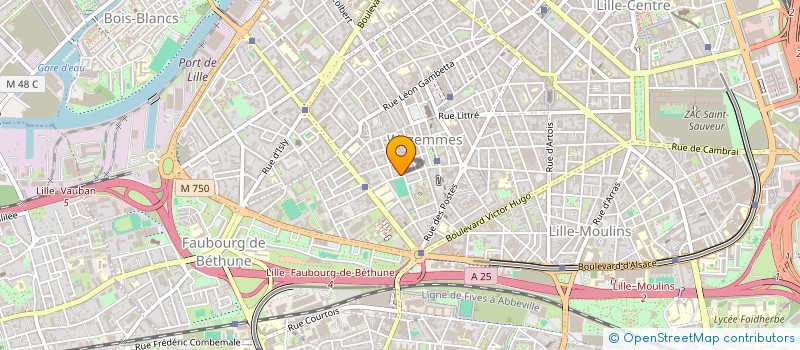 localisation de l'entreprise MONSIEUR PETER CLARKE à LILLE