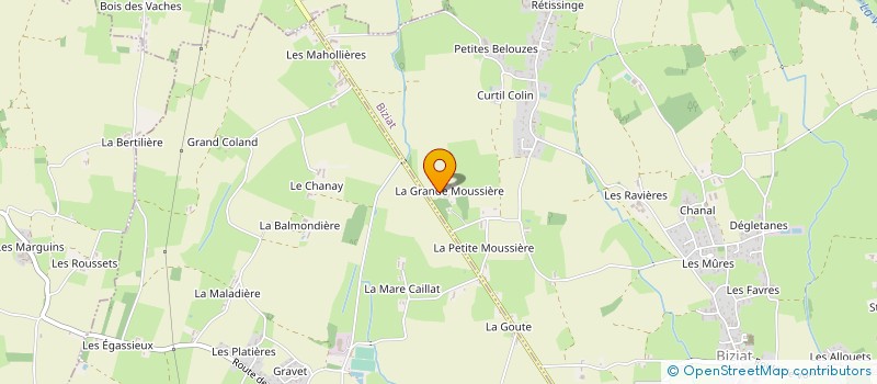 localisation de l'entreprise MONSIEUR PETER HERBICK  BIZIAT