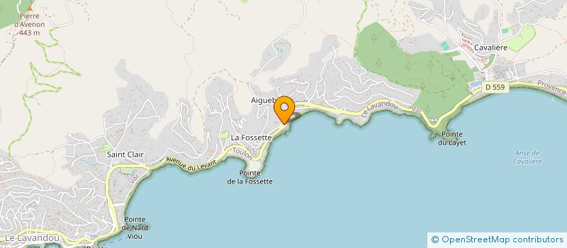 localisation de l'entreprise MONSIEUR PETER JOHNSTON à LE LAVANDOU