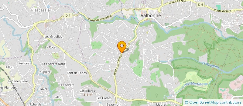 localisation de l'entreprise MONSIEUR PETER KINGSFORD  VALBONNE