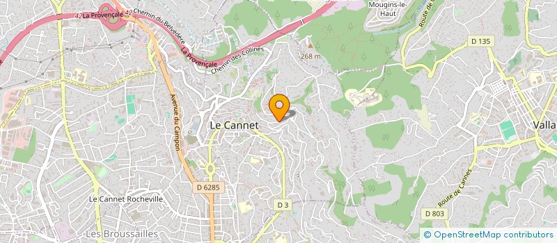 localisation de l'entreprise MONSIEUR PETER OTT à LE CANNET