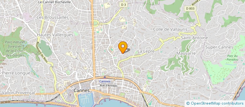 localisation de l'entreprise MONSIEUR PETER PIERRONNE à CANNES