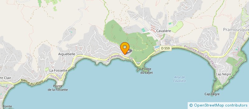 localisation de l'entreprise MONSIEUR PETER REILLY à LE LAVANDOU