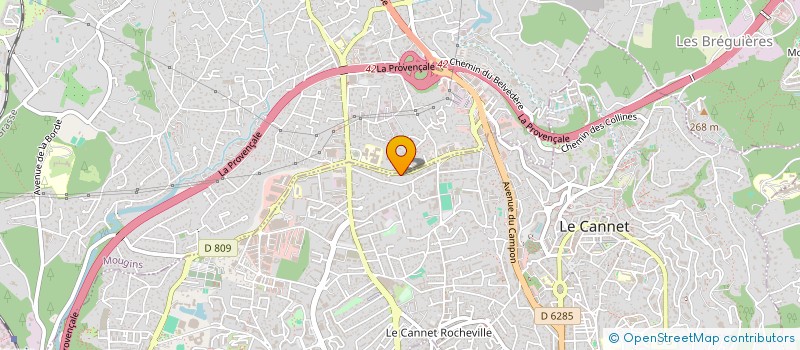 localisation de l'entreprise MONSIEUR PETRU LOSETCHI à LE CANNET