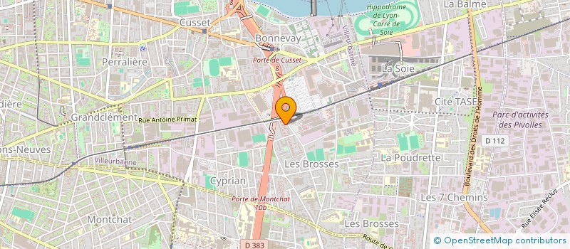 localisation de l'entreprise MONSIEUR PETRU VREME  VILLEURBANNE