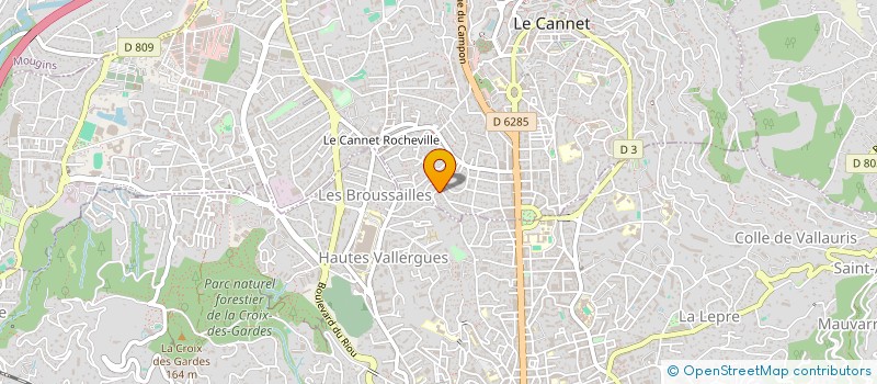 localisation de l'entreprise MONSIEUR PEYMAN PEJMAN à LE CANNET