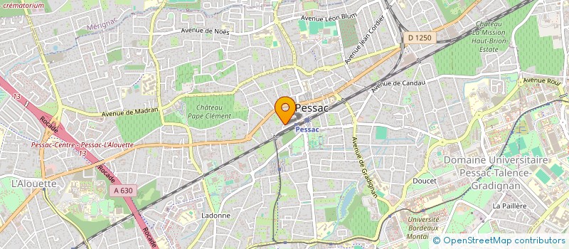 localisation de l'entreprise MONSIEUR PEYO MAGE  PESSAC