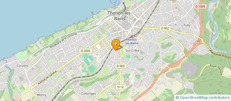 localisation de l'entreprise MONSIEUR PHILIPPE ANDRE KOURNWSKY DIT KOURAVOSKY à THONON-LES-BAINS