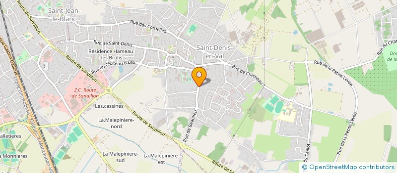 localisation de l'entreprise MONSIEUR PHILIPPE ANTOLIN à SAINT-DENIS-EN-VAL