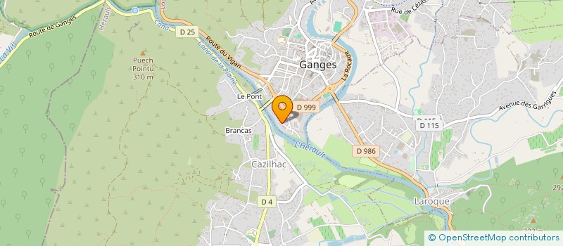 localisation de l'entreprise MONSIEUR PHILIPPE BIZZINI à GANGES
