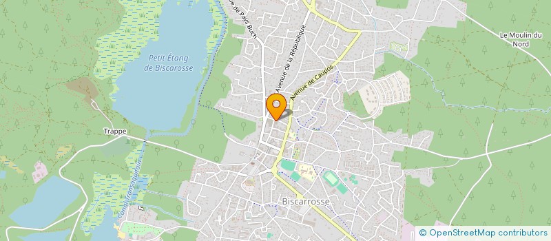 localisation de l'entreprise MONSIEUR PHILIPPE BOUDIGUES  BISCARROSSE