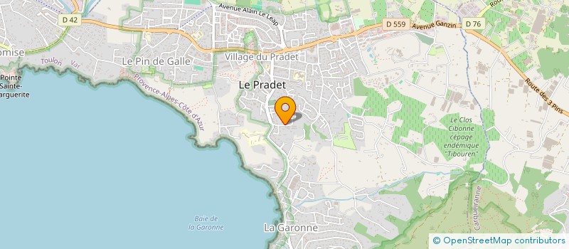 localisation de l'entreprise MONSIEUR PHILIPPE BOURGAT à LE PRADET