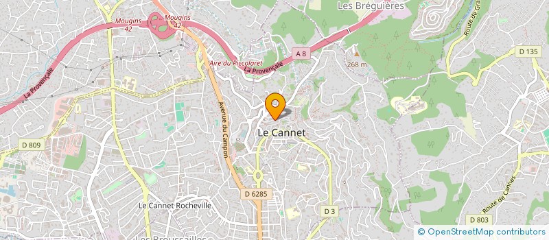 localisation de l'entreprise MONSIEUR PHILIPPE BOUSQUET à LE CANNET