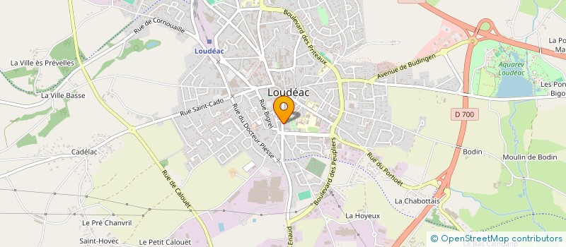 localisation de l'entreprise MONSIEUR PHILIPPE BRANDILY à LOUDEAC