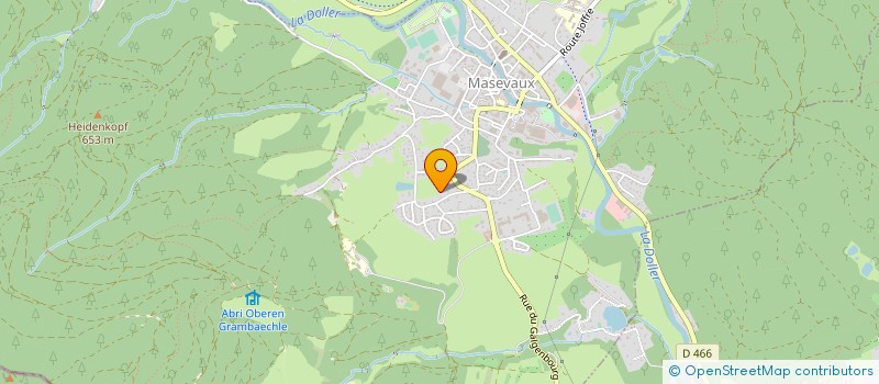 localisation de l'entreprise MONSIEUR PHILIPPE BRISWALTER  MASEVAUX-NIEDERBRUCK