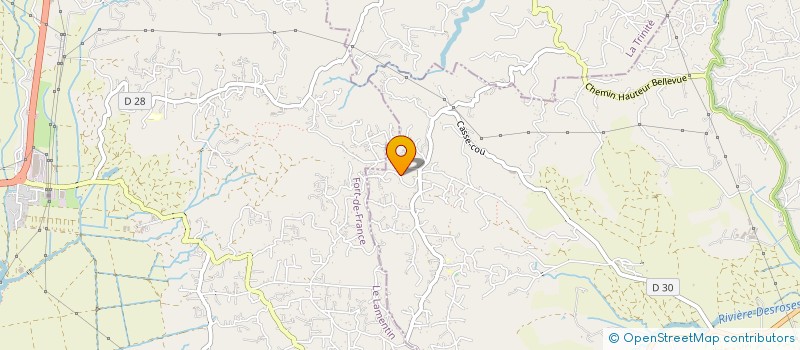 localisation de l'entreprise MONSIEUR PHILIPPE CERSON  LE FRANCOIS