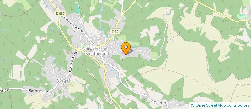 localisation de l'entreprise MONSIEUR PHILIPPE DE WILDE à BRUYERES-ET-MONTBERAULT