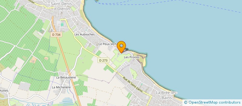 localisation de l'entreprise MONSIEUR PHILIPPE DEBOSSE  SAINT-DENIS-D'OLERON