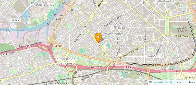 localisation de l'entreprise MONSIEUR PHILIPPE DEBUSSCHERE à LILLE