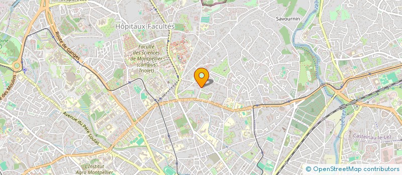 localisation de l'entreprise MONSIEUR PHILIPPE DEIANA à MONTPELLIER