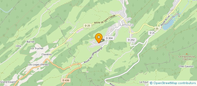 localisation de l'entreprise MONSIEUR PHILIPPE DEJTER  LAMOURA