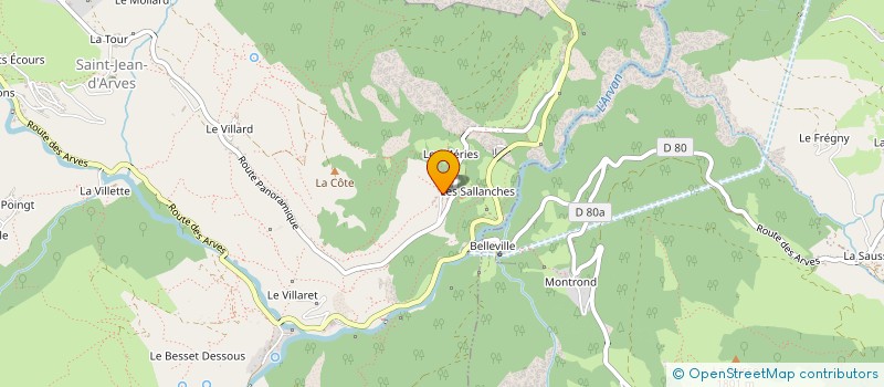 localisation de l'entreprise MONSIEUR PHILIPPE DELBOR  SAINT SORLIN D'ARVES