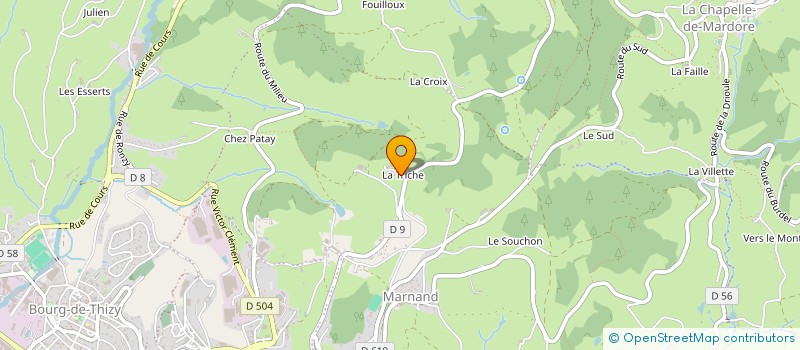 localisation de l'entreprise MONSIEUR PHILIPPE DESSEIGNE  THIZY-LES-BOURGS