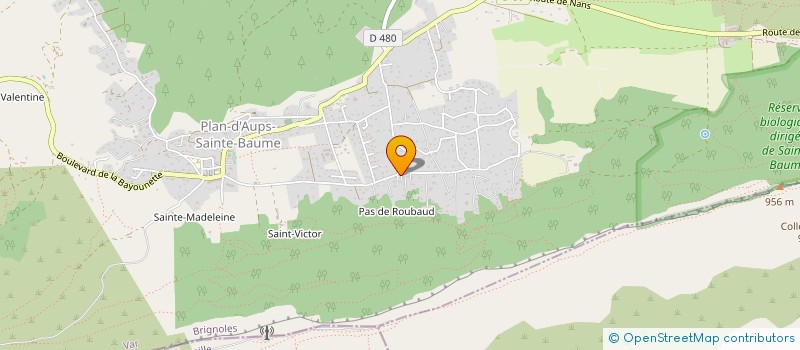 localisation de l'entreprise MONSIEUR PHILIPPE DEVOUCOUX DU BUYSSON  PLAN D'AUPS SAINTE BAUME